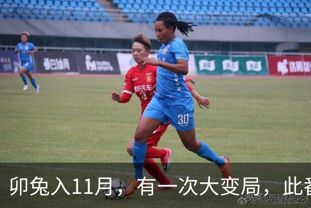 卯兔入11月，有一次大变局，此番转折宜静不宜动，心中有数别声张