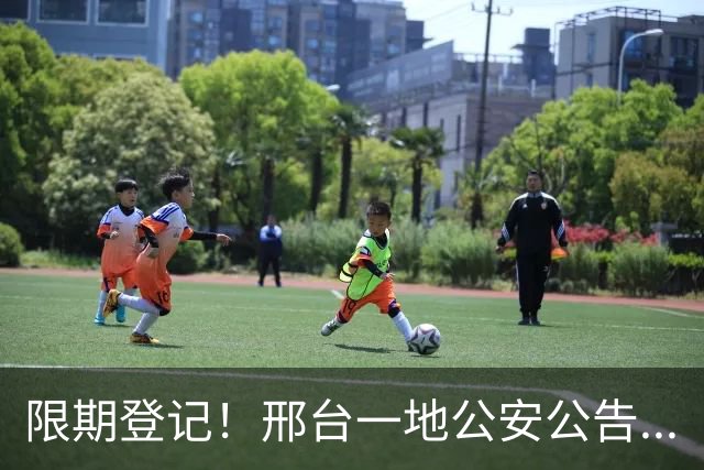 限期登记！邢台一地公安公告...